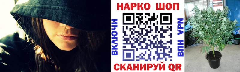 Где продают наркотики Щёлково Кокаин  ГАШИШ  Бошки Шишки 
